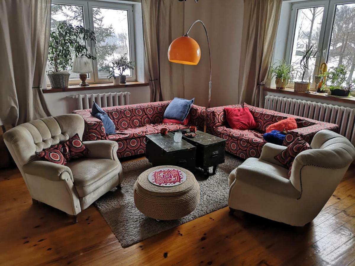 W Starej Szkole - Pieczarki