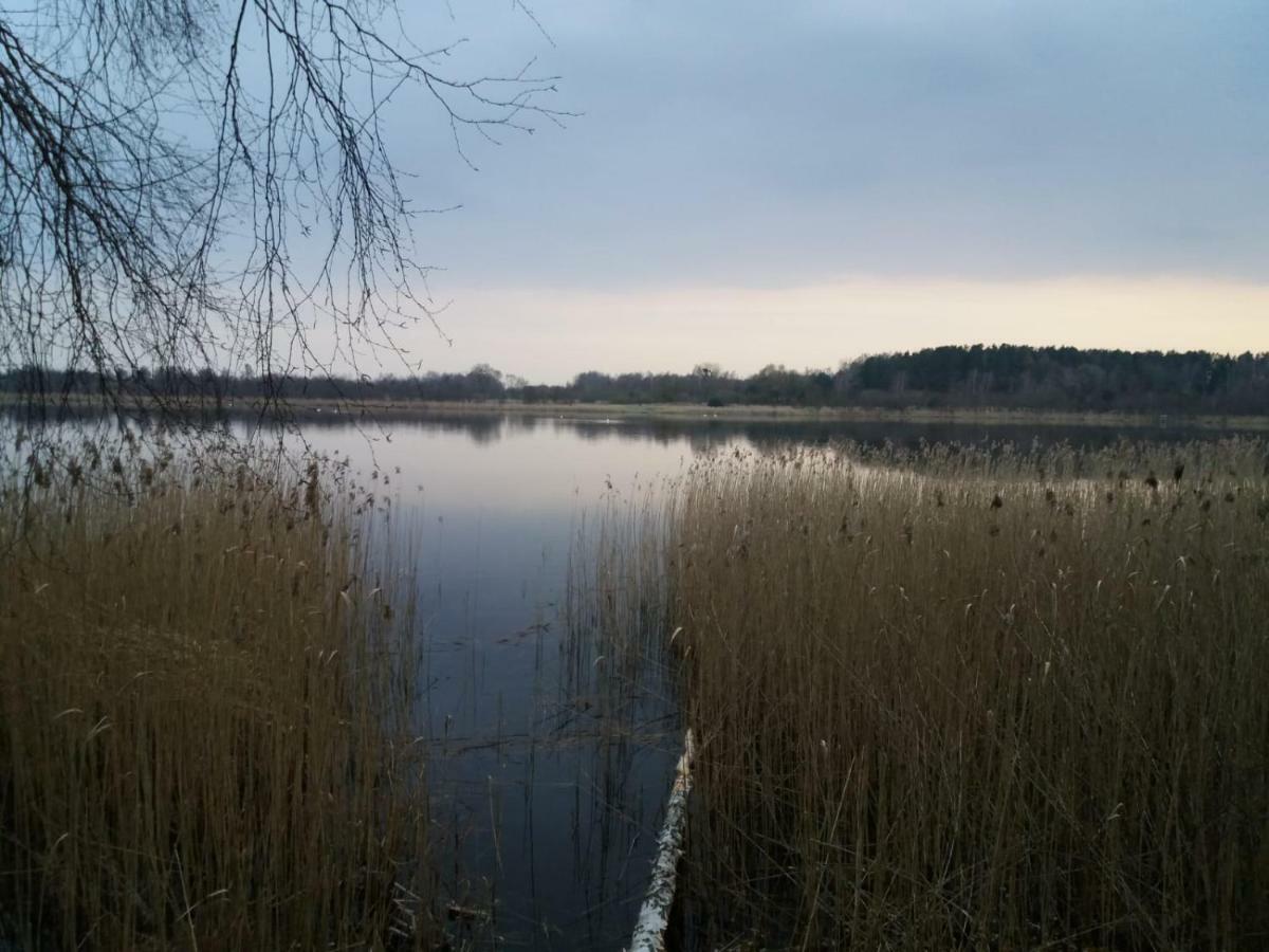 W Starej Szkole - Holiday home