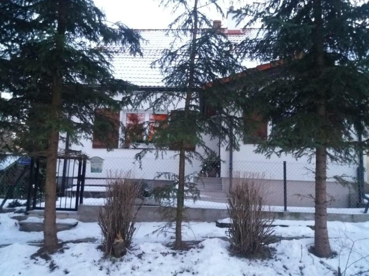 W Starej Szkole - Pieczarki